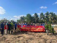 Một số hình ảnh trong ngày ra quân "Tết trồng cây đời đời nhớ ơn Bác Hồ" tại Trung tâm GDQP&AN ở xã Suối Tân, huyện Cam Lâm. Gần 200 cây xà cừ, bàng,…. được trồng bởi hơn 40 cán bộ, giảng viên, sinh viên nhà trường.